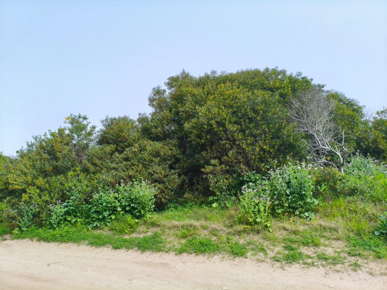 LOTE MULTIFAMILIAR VALERIA DEL MAR frente al mar