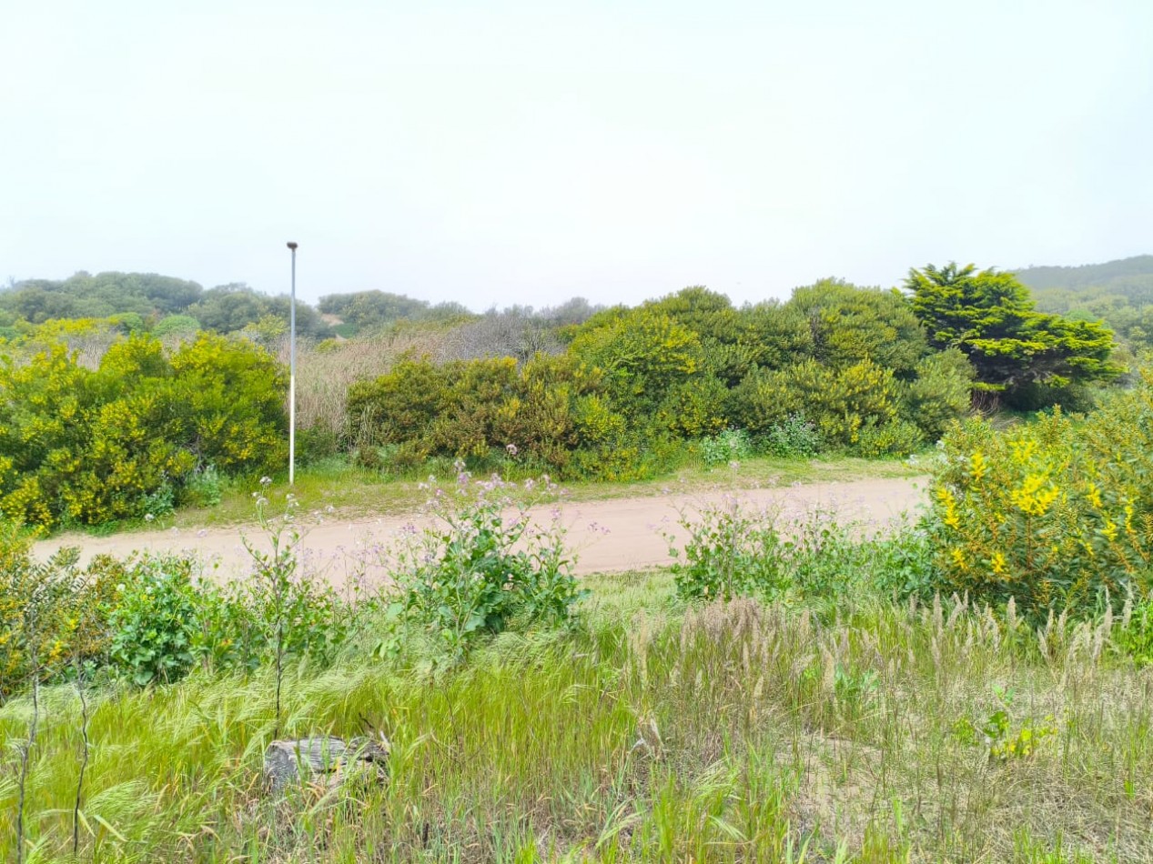 LOTE MULTIFAMILIAR VALERIA DEL MAR frente al mar