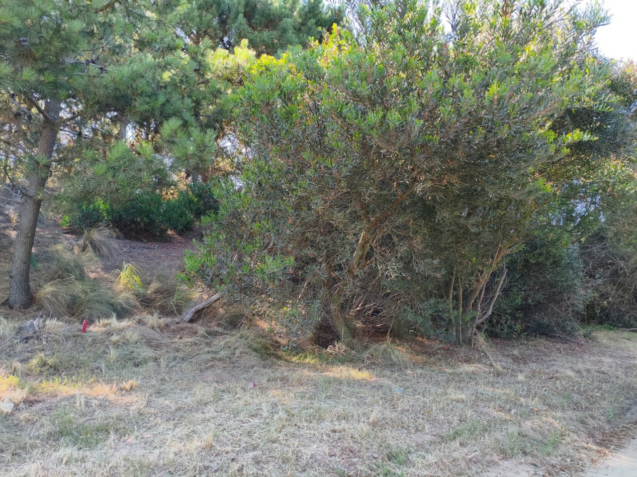 Venta Lote Costa Esmeralda Residencial 2 cerca del mar 224