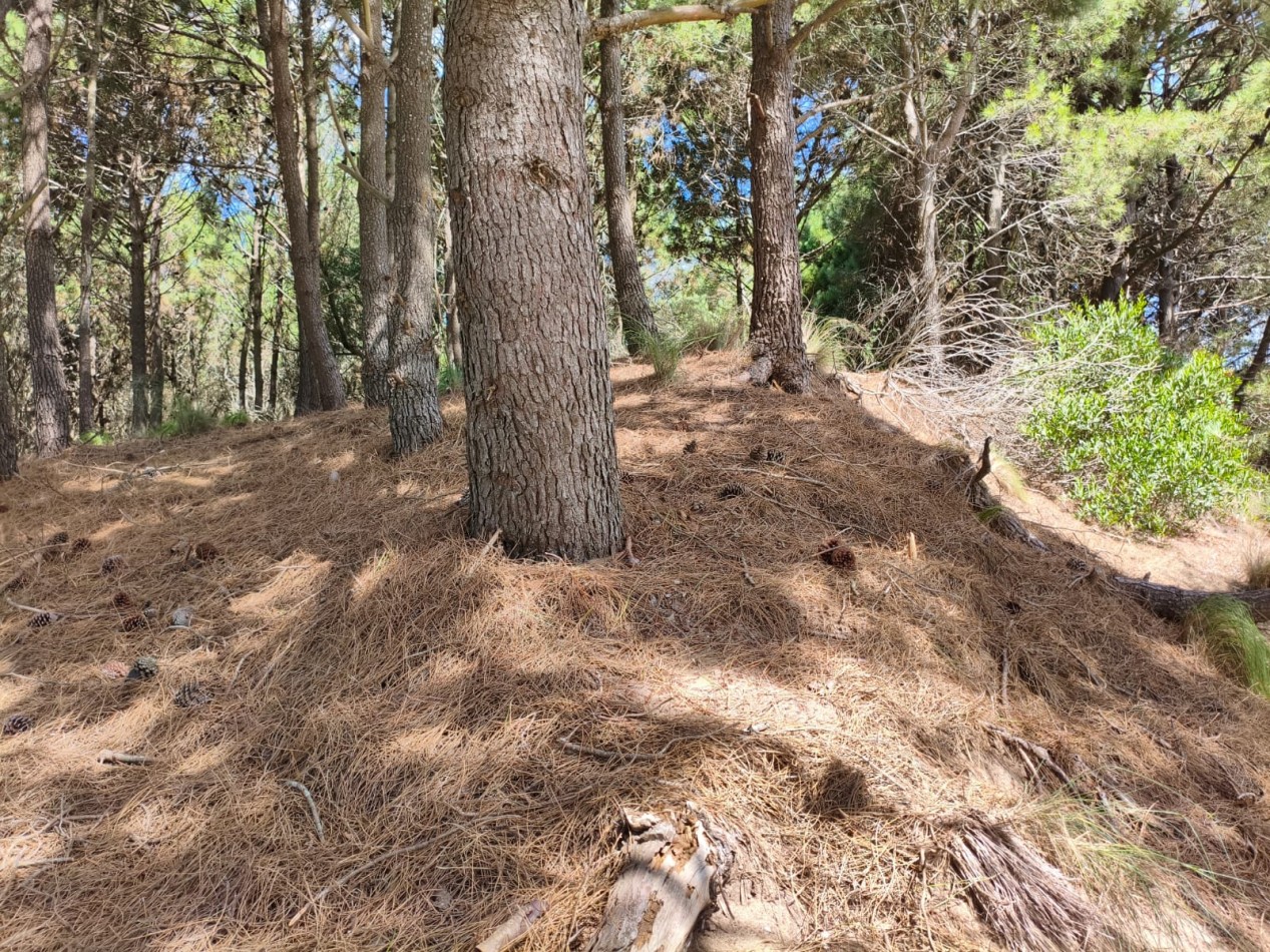 Venta Lote Costa Esmeralda Residencial 2 cerca del mar 224