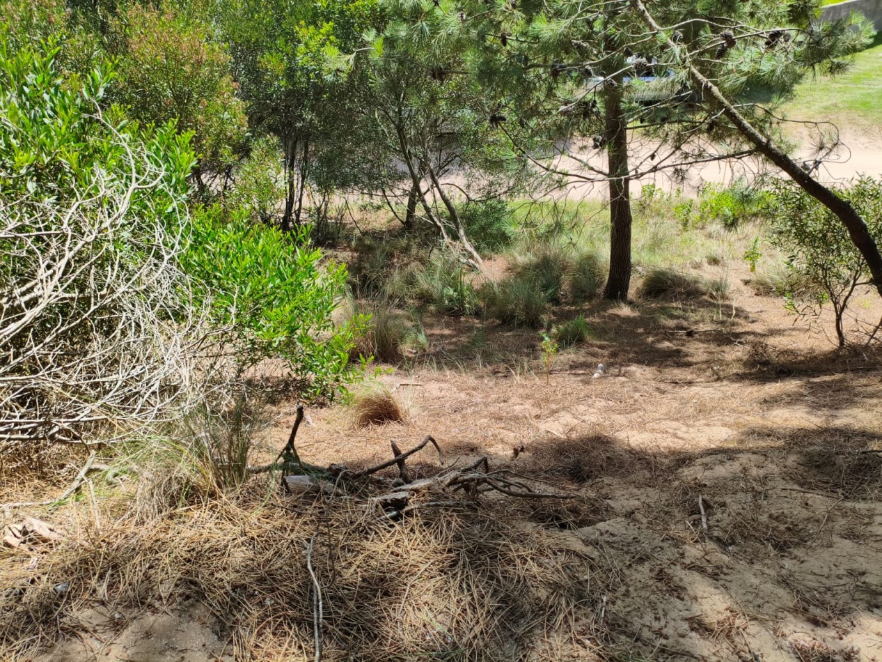 Lote en venta Costa Esmeralda Residencial 2 cerca del mar