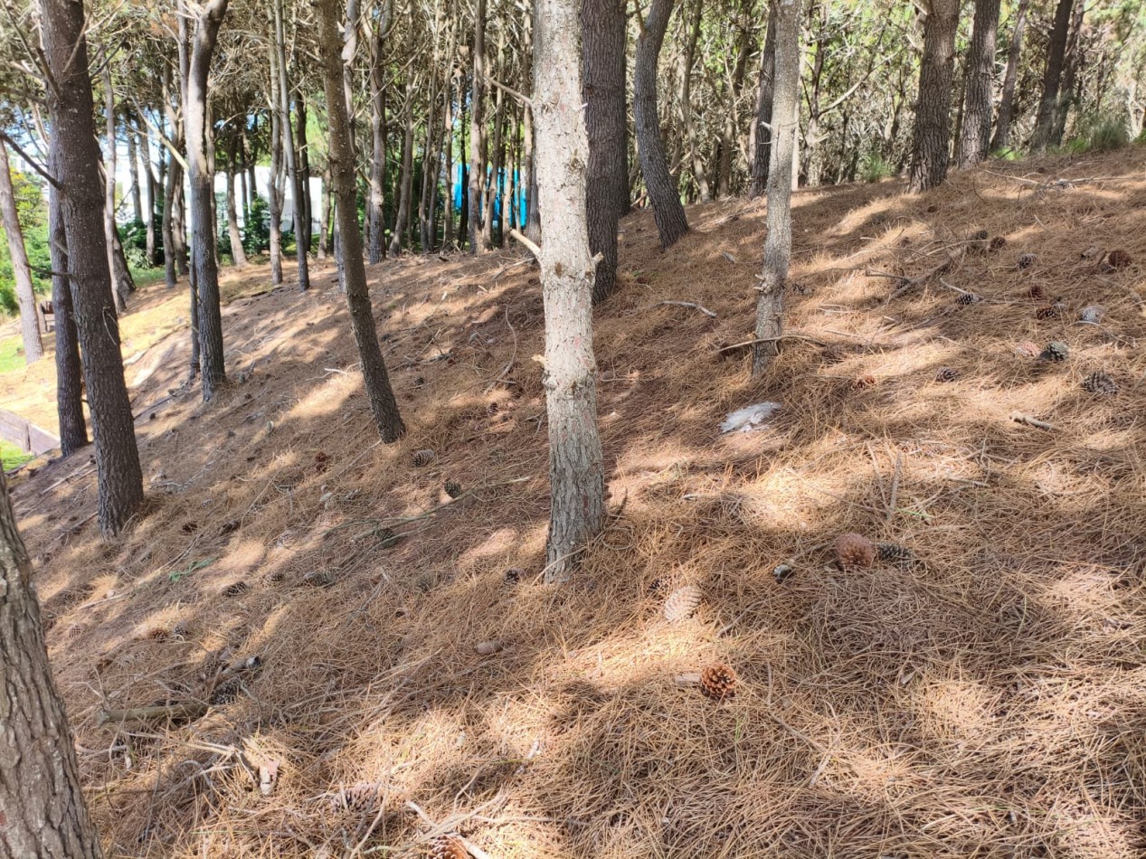 Lote en venta Costa Esmeralda Residencial 2 cerca del mar