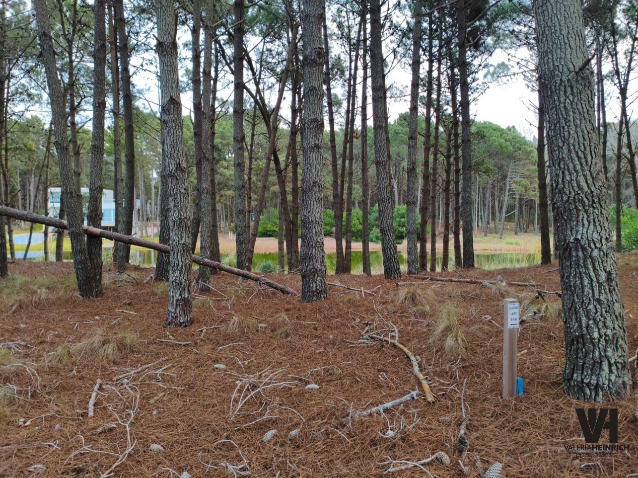LOTE EN VILLAROBLES