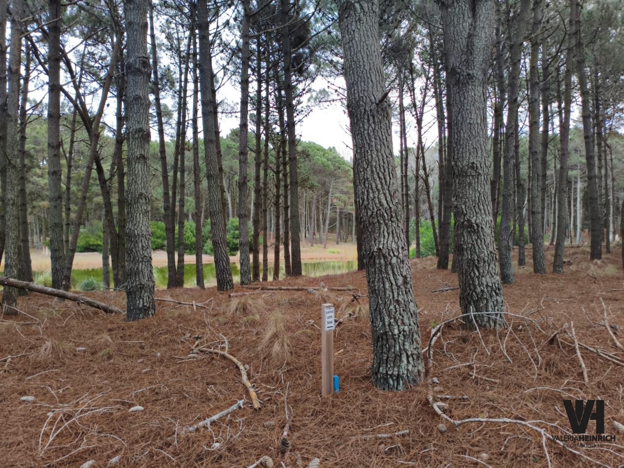 LOTE EN VILLAROBLES