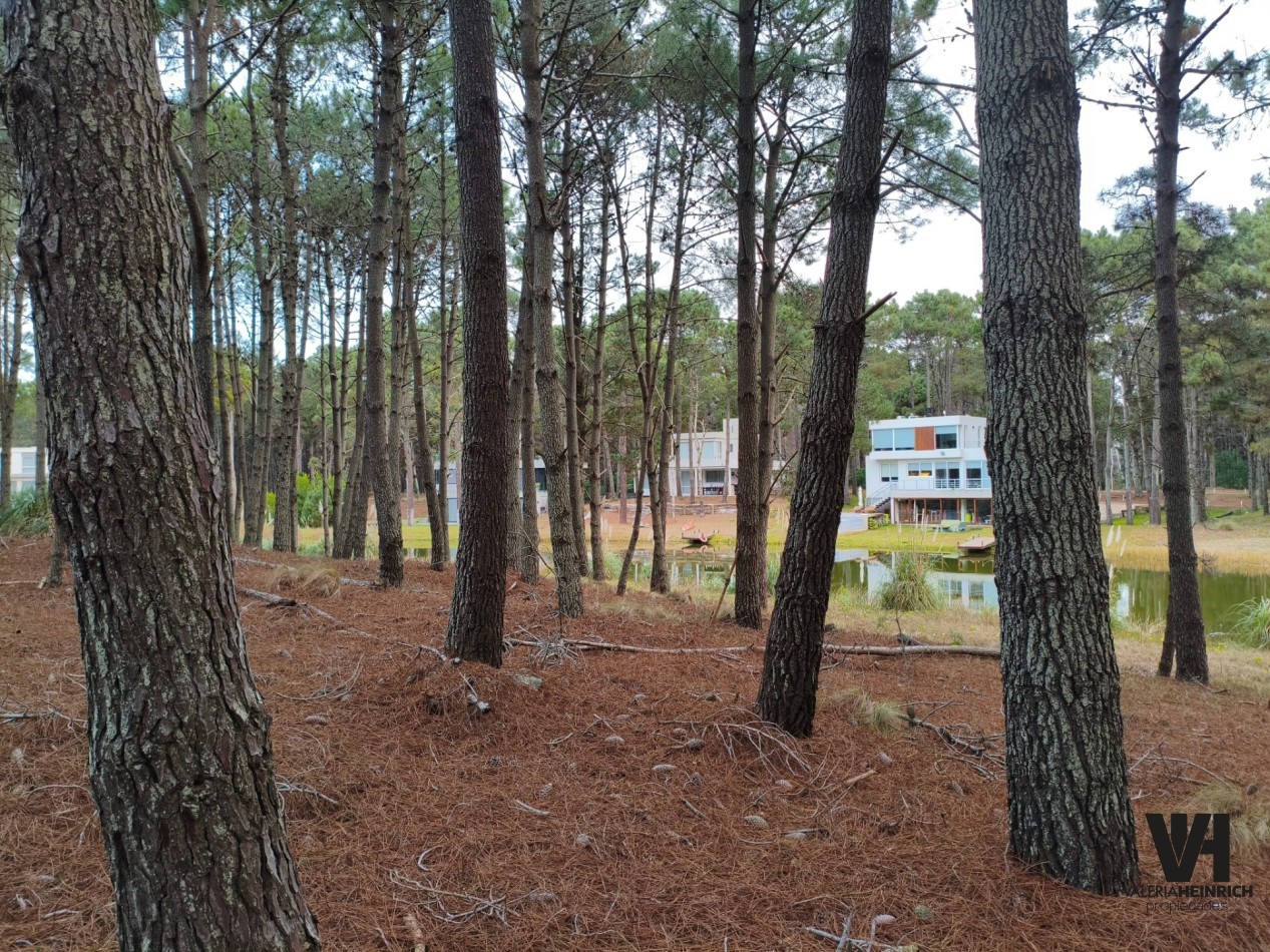 Vendo lote en Villarobles fondo laguna arbolado