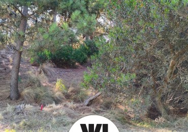 Lote en venta Costa Esmeralda Residencial 2 cerca del mar