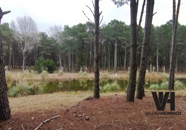 Vendo lote en Villarobles fondo laguna arbolado